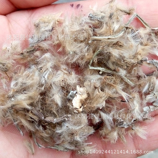 �ݻ��N�� ���¾շN�� ���»� ����̫ꖻ��N�� ���ܲ��� 1��=1��