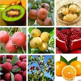 ɽʯ÷÷֦N˽ӗľϫJˮ