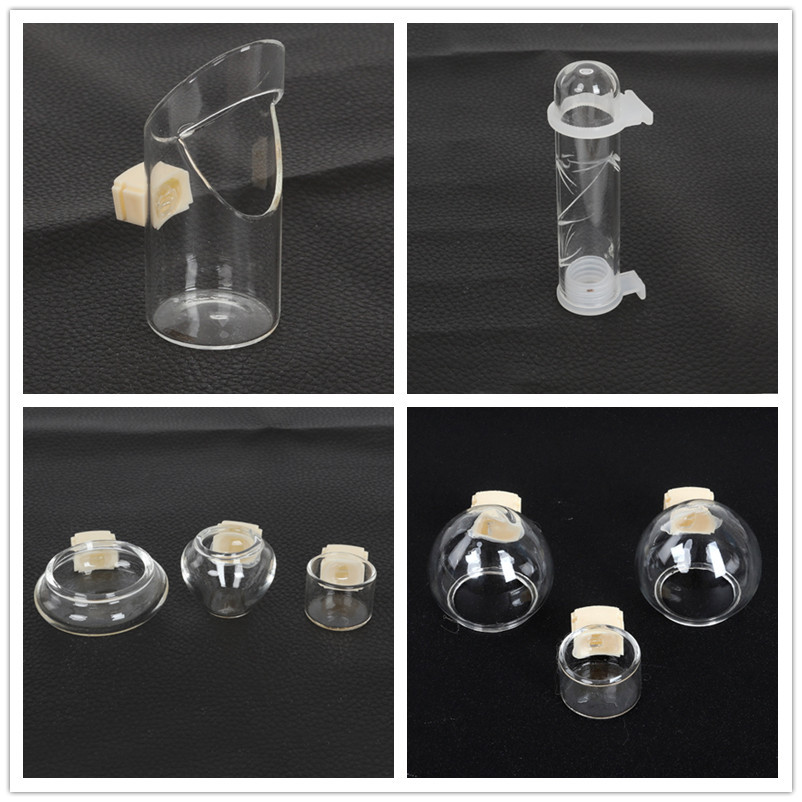 鳥用玻璃杯繡眼鳥食罐繡眼食餵食器碗盒繡眼玻璃飲水器畫眉鳥杯鳥