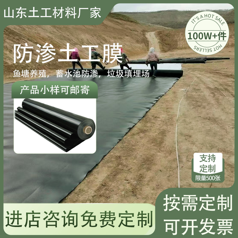 hdpe防渗膜鱼塘护坡蓄水池复合土工膜河道防水土工布厂家加厚