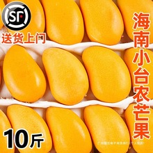 海南小台农芒果10斤新鲜现摘小台芒应当季热带水果特产芒果包邮5