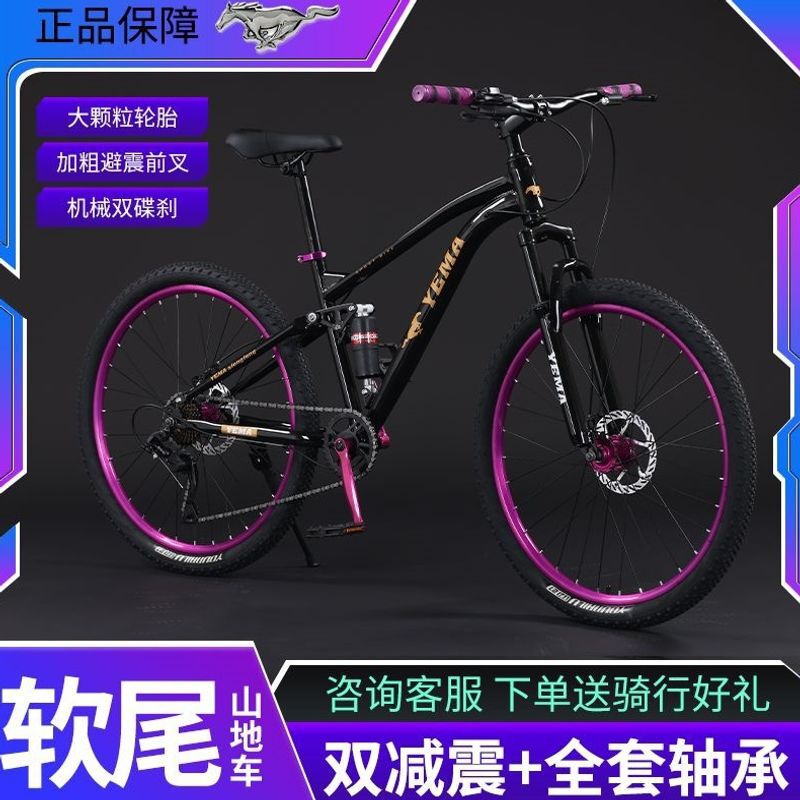 Soft-Tail Dirt Bike with Dual Shock Absorbers for Off-Road Racing, Suitable for Teenagers to Commute and Perform High-Intensity Stunts