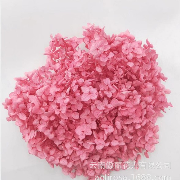 Grado A Anna Hortensia flor permanente flor seca Hortensia de hoja pequeña 20g Hortensia en caja fábrica al por mayor MATERIAL DE FLOR DE San Valentín