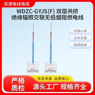 濱澳電纜WDZC-GYJS(F雙層共擠絕緣輻照交聯無低煙阻燃電線電源