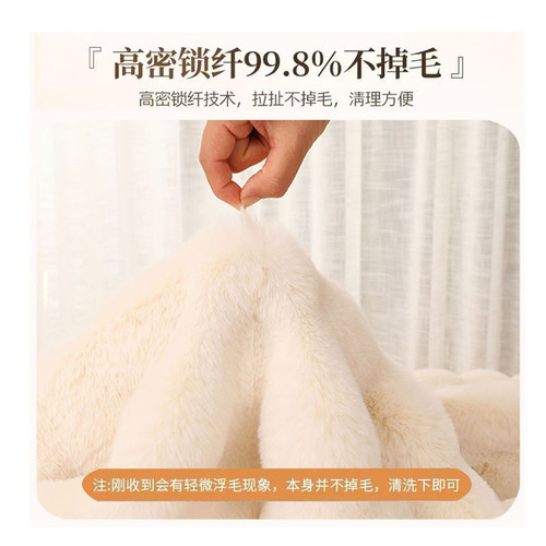 Cross-border special supply of cream style plush carpet, bay window blanket, bubble velvet floor mat, bedside blanket, bay window mat, blanket, coffee table mat