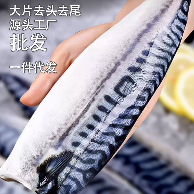 新鲜挪威进口青花鱼片大片半成品日式盐烤青花鱼冷冻鲭鱼去头去尾