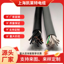  ܉܇vȲþou ͻ| 300/500V