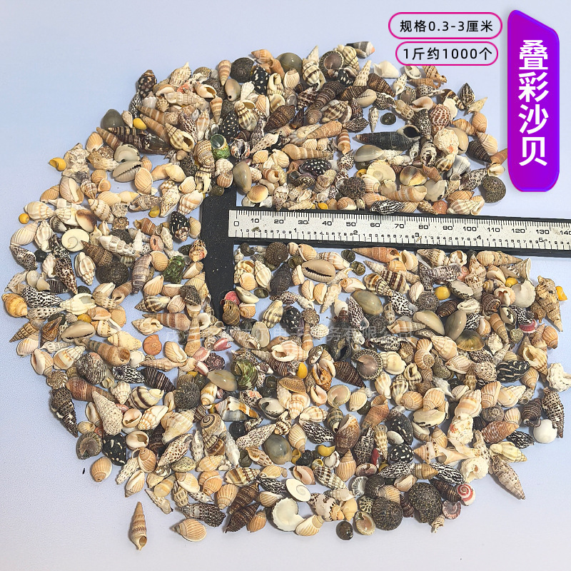 貝殻と法螺貝 1～2cmをポンド単位で販売、貝殻と砂を混ぜて手作りのDIYテーブルを製作、ドリフトボトルを製作|undefined