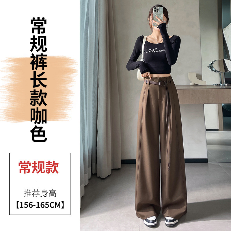实拍现货2025秋季新款西装裤高腰阔腿裤休闲窄版直筒拖地裤女|undefined