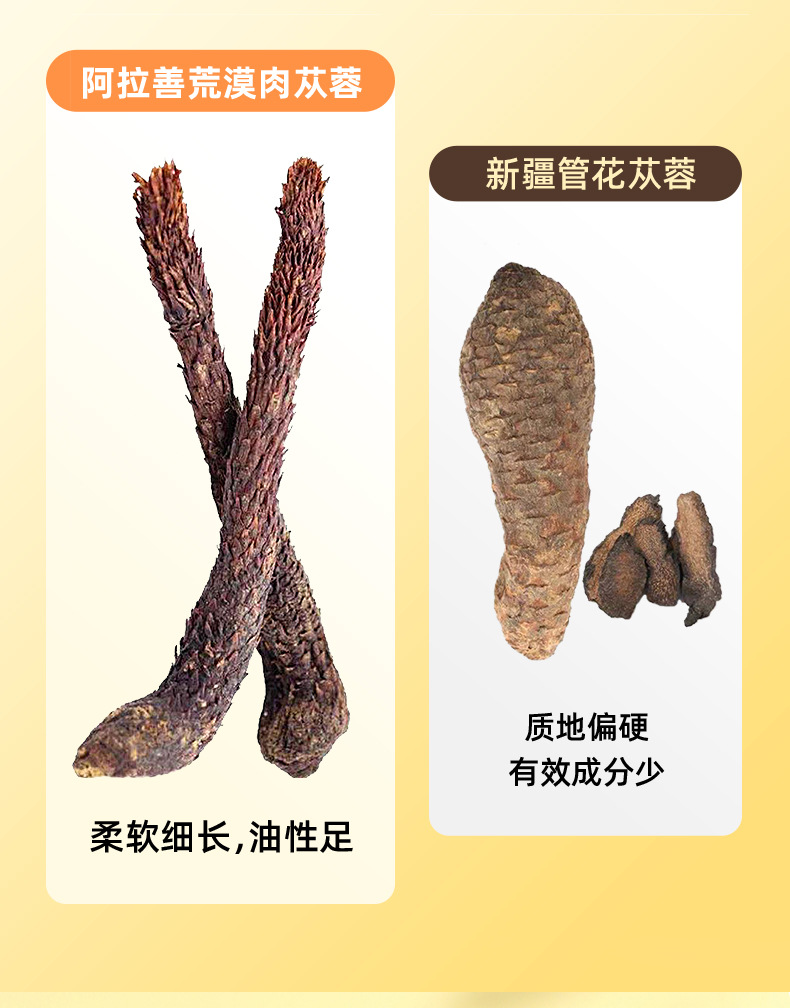 Dried Cistanche Slices 205g Round Jar Fresh Dried Cistanche for Soup and Wine Soaking quality and texture