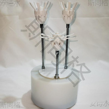 �_�����Ԅ��_�ϻ��q������