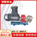 电动抽油泵KCB83.3不锈钢齿轮油泵 微型便携豆浆泵 化工齿轮泵