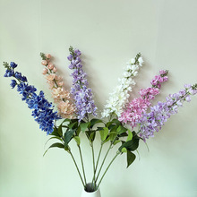 �F؛��z�m�����滨�L�����b��҃ȿ͏d��ˇ�廨�[���w��ݼٻ�