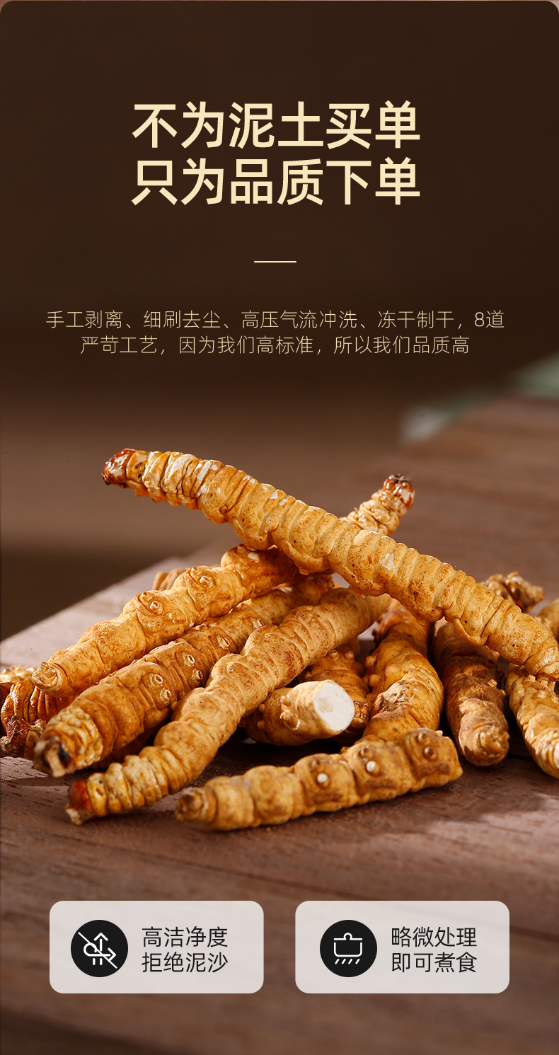 Dried Cordyceps Broken Stems 20g Jar Chinese Herbal Cordyceps sinensis for Cooking specifications