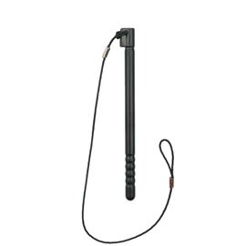 手写笔;其他苹果配件;教鞭、激光笔