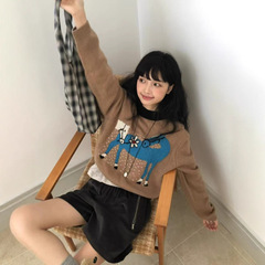 Hone 新品羊毛毛衣