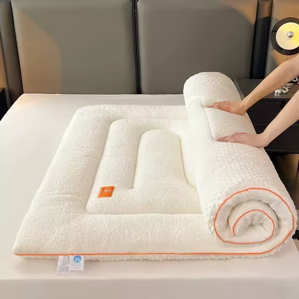 Temutiktok Cross-Border Home Textile Thickened Warm Lamb Wool Mattress Pad 3D Bean Velvet Mattress Pad for Home Use