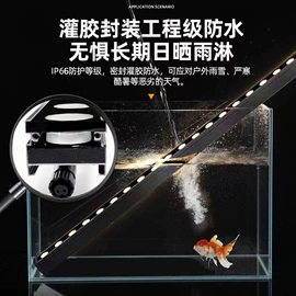 洗墙灯;投光灯;线条灯/灯条