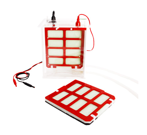 转移电泳槽 电泳槽 型号：HAD-JY-ZY2