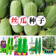 ���l���L�����Lɳ��z�ϷN�����۴��O��ˮ��ϴ��_�����߲��яS��