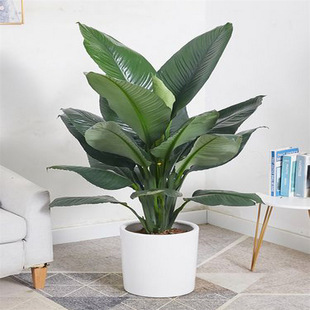 �G���������҃ȿ͏d�����辰ֲ��Gֲ�f������ƴ��~ֲ����]����