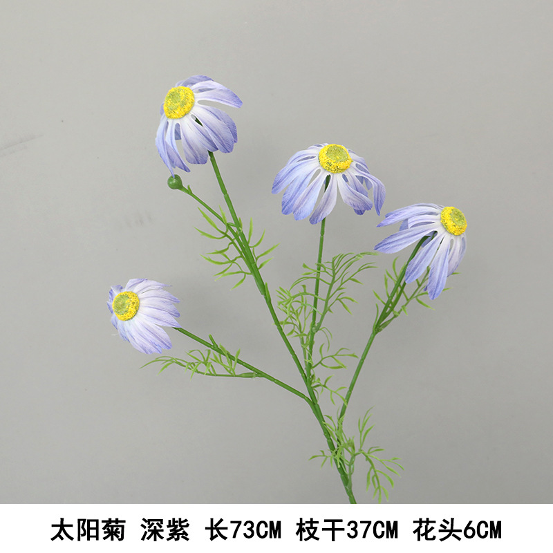 새로운 해국 보라색