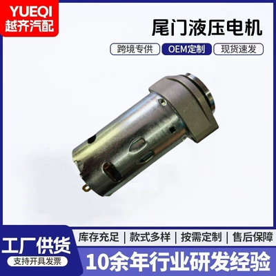 25965863 25965861 54347193448 Car Motor Srx Tailgate Strut Motor