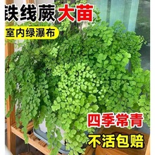 �F��ާ�������~ˮ��ާ�ֲ����ꎿ͏d�҃��ⴹ�����B���ļ����G