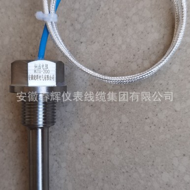 供应WZP-200铂热电阻PT100