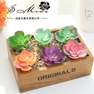 多肉植物花头宝莲芯花创意塑料DIY配件金华厂家直供一件代发绿植