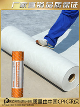 ���]��ˮ���ľ���ϩ�߷��Ӝ�]������a©�l���g���������������