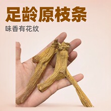 ���l���������J�^�L���л��y���gԭ֦�l���l�ɴ���Ƭζ��t��