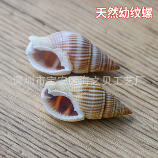 ���y���~��ˮ���b�ؐ�������N��DIY�ֹ�������������׼y�����l