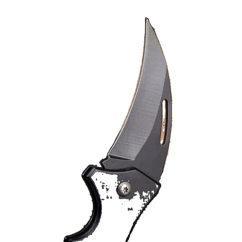 Small pocket knife stainless steel, keychain