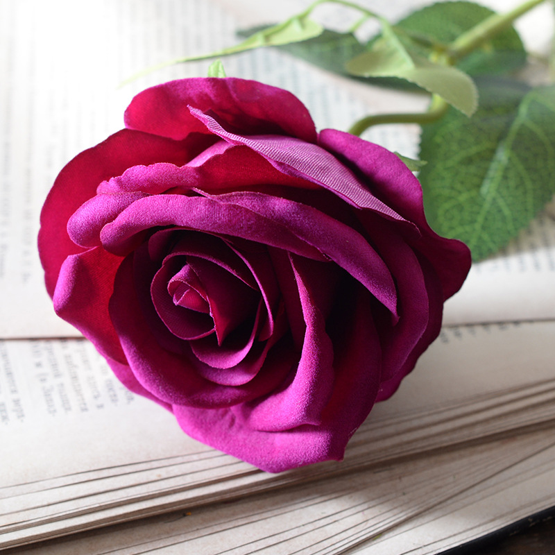 Large velvet rose purple