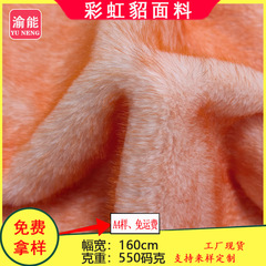 彩虹貂面料 兔貂绒布 彩色长毛绒玩具抱枕箱包辅料现货批发