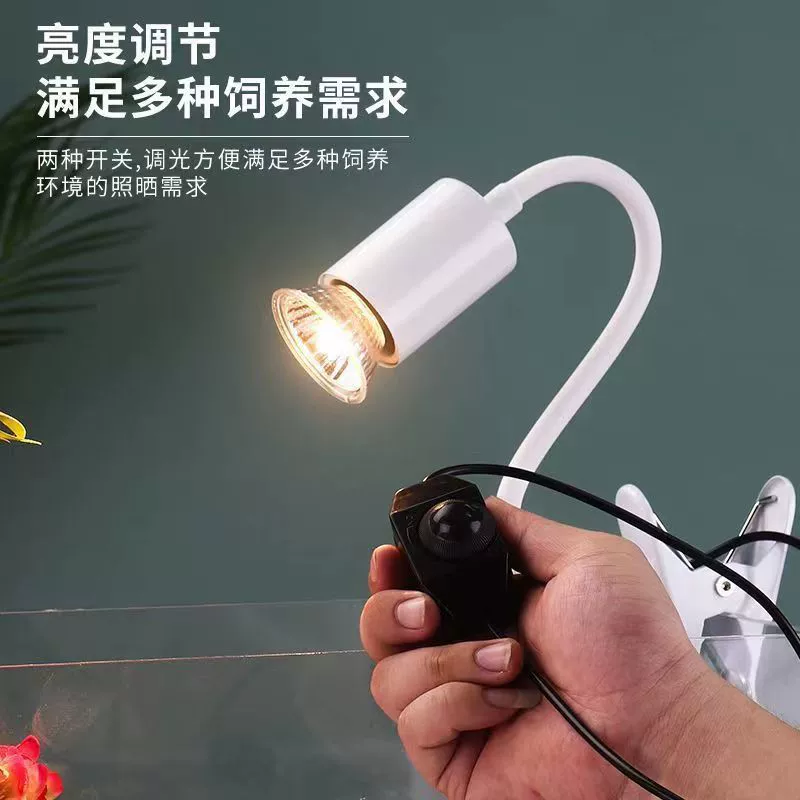 Регулируемая яркость времени черепаха Подсветка солнца восхождение домашнее животное нагревательная банка черепаха клип лампа изоляция кальция лампа выставочная подставка для лампы