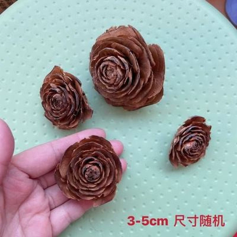 DIY фруктовая раковина Pinecorus деревянный кусочек лист сухоцвета фруктовое сочетание Рождество установленный детский сад украшение винтажное предложение