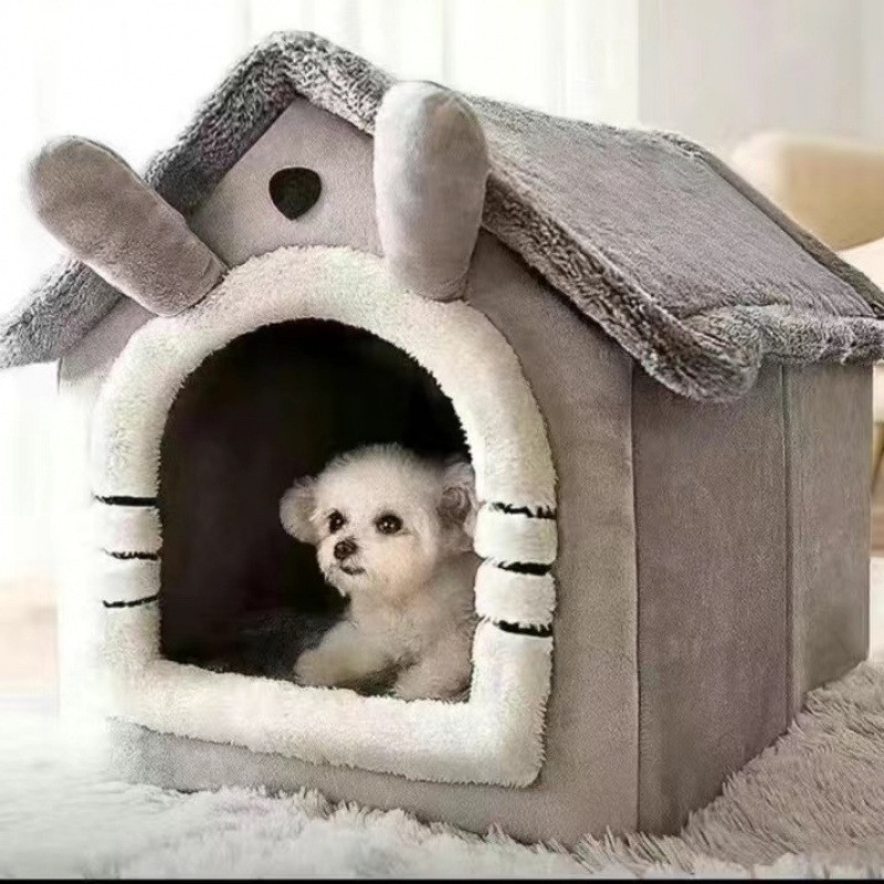 긴귀 그레이 대형 + 담요