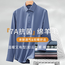 2025春秋新款男士7A抗菌衬衫高级感免烫长袖工作服简约时尚上衣男