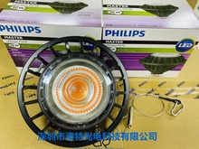 Master LED PAR56 40W 30D 825 DIM