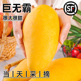 ���Ͻ��â��10��һ��â������ˮ�������Fժ���r������ˮ��â���]