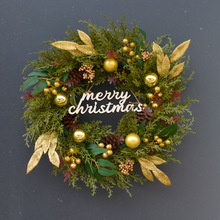 �}�Q���b��h�T�젝��}�Q��Ȧ�̈���������R�d�}�Q���h