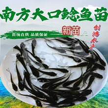 �����硿���|�T�~�� �s������T�� �Ϸ�����T�~��  ȫ���l؛