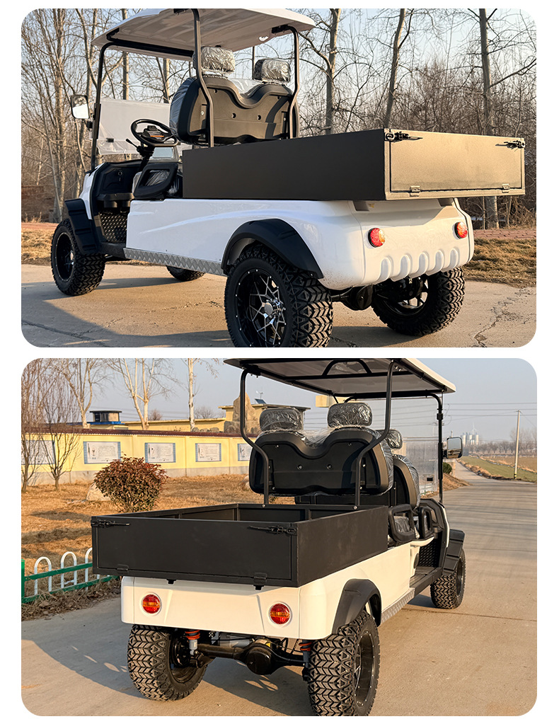 New Model Golf Cart with Bucket for Sightseeing, Real Estate Tours, Airport Reception, and Electric Golf Cart Use