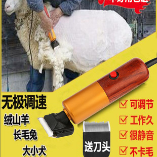 ���I����������Ƽ�200W��������ë���ӽ�ë�ù�����ë������Ȯ