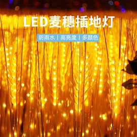 景观灯;草坪灯;室内LED