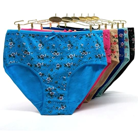 女士三角裤;女士丁字裤;女士大码内裤