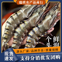 �ڻ��r�������r���r�ϻ��r�r���ك��ش�����r���r��Ź��r�߹��r