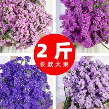 ɻ͏d[O滨LȻrҸɻMǸɻ